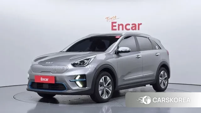 Kia Niro EV 2021 Серый из Кореи