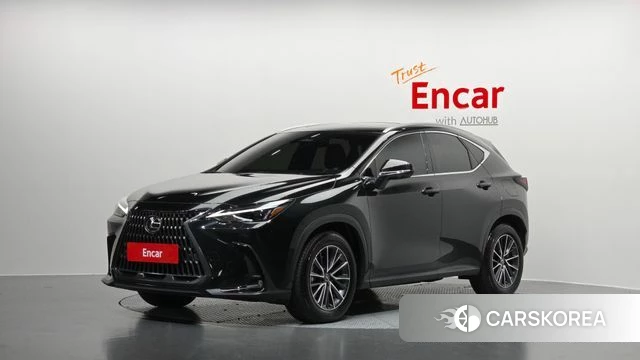 Lexus NX450h + 2nd generation 2025 Серый из Кореи