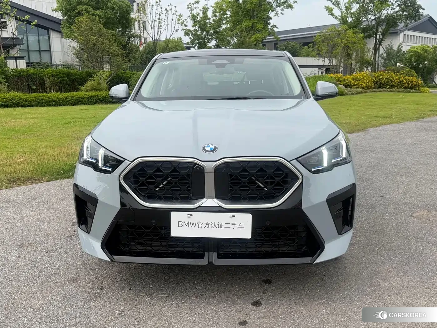 BMW X2 2024 Silver/gray из Китая