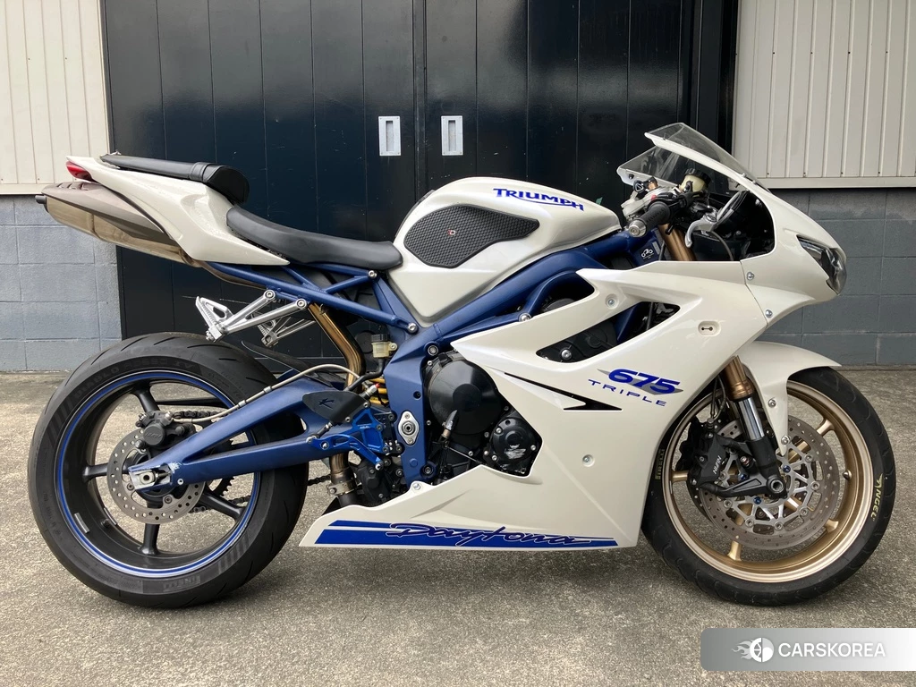 Проданный Triumph DAYTONA 675SE 2010 из Японии