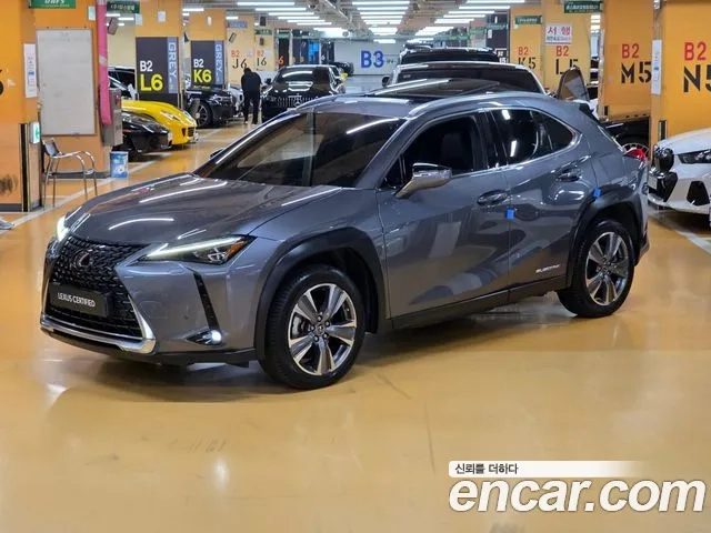 Lexus UX300e 2022 Серый из Кореи