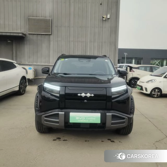 Leopard Titanium 3 2025 Черный из Китая