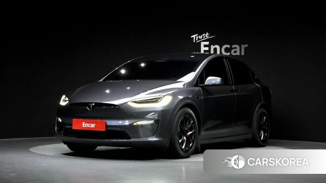 Tesla Model X 2023 Серый из Кореи