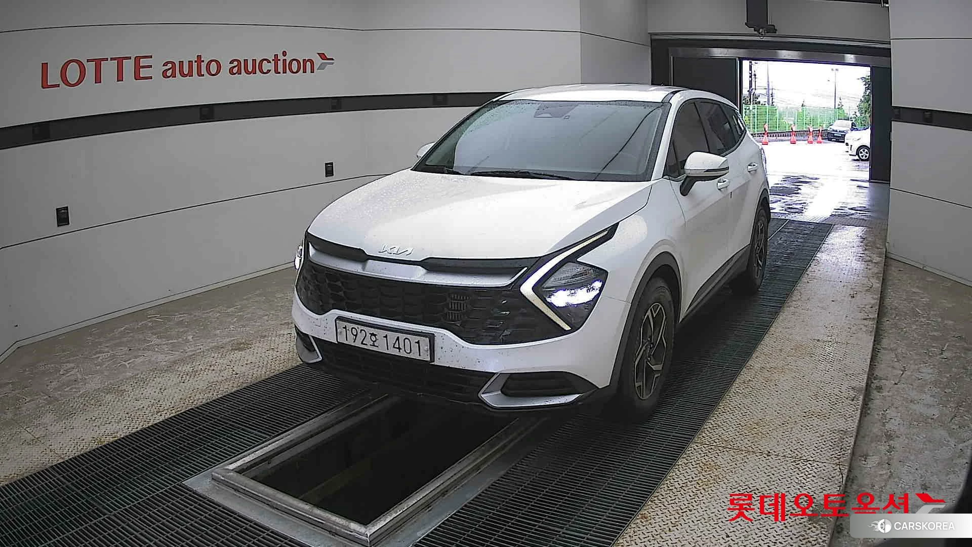 Kia Sportage 2022 Snow White Pearl (optional) из Кореи