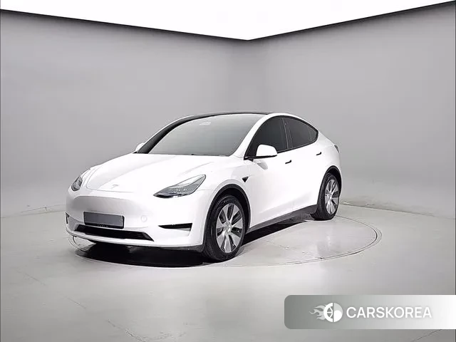 Tesla Model Y 2023 Белый из Кореи