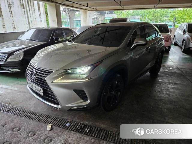 Lexus NX300h 2018 Серебристо-серый из Кореи