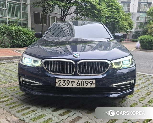 BMW 5 Series (G30) 2019 Синий из Кореи