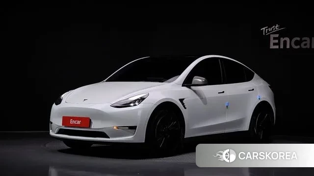 Tesla Model Y 2021 Белый из Кореи