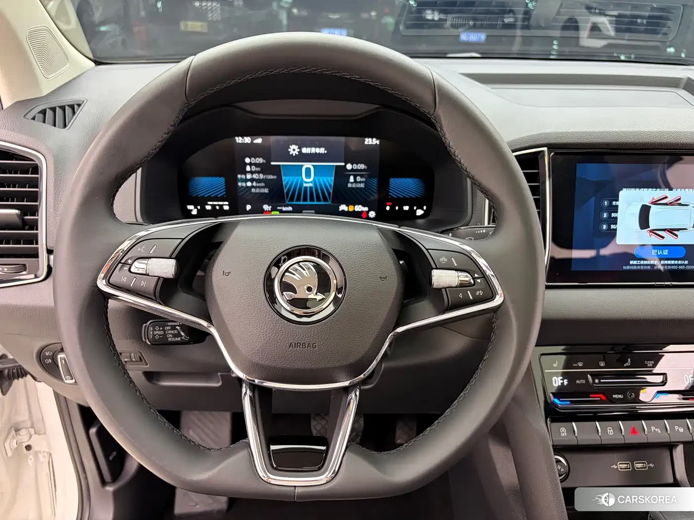 Skoda Karoq 2022 Белый из Китая