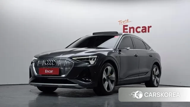 Audi e-Tron 2022 Серый из Кореи