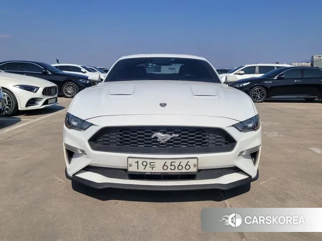 Ford Mustang 2019 Белый из Кореи
