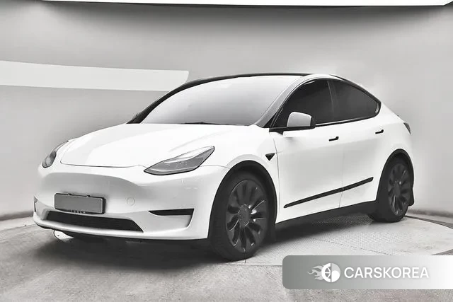 Tesla Model Y 2021 Белый из Кореи