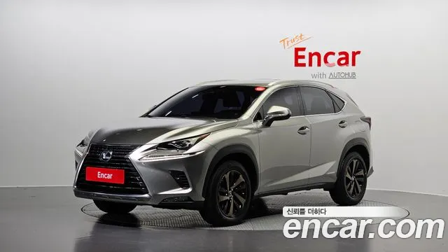 Lexus NX300h 2019 Серый из Кореи