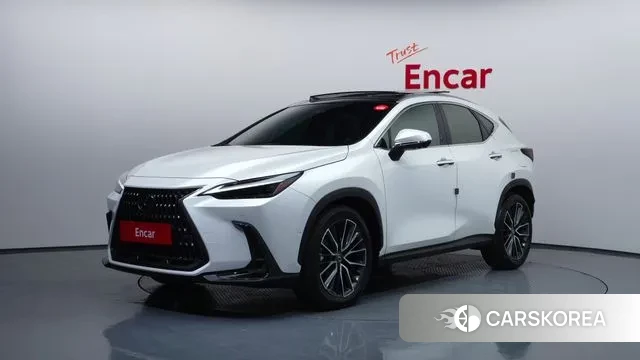 Lexus NX350h Second generation 2024 Белый из Кореи