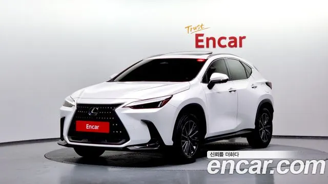 Lexus NX450h + 2nd generation 2023 Белый из Кореи