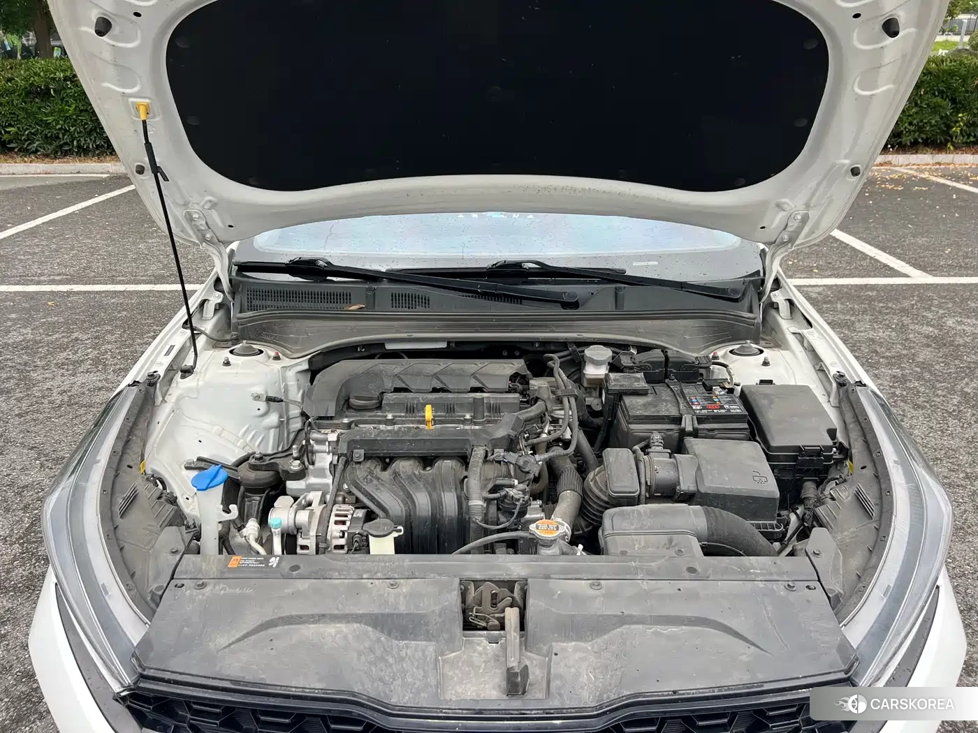 Kia K3 2023 Белый из Китая
