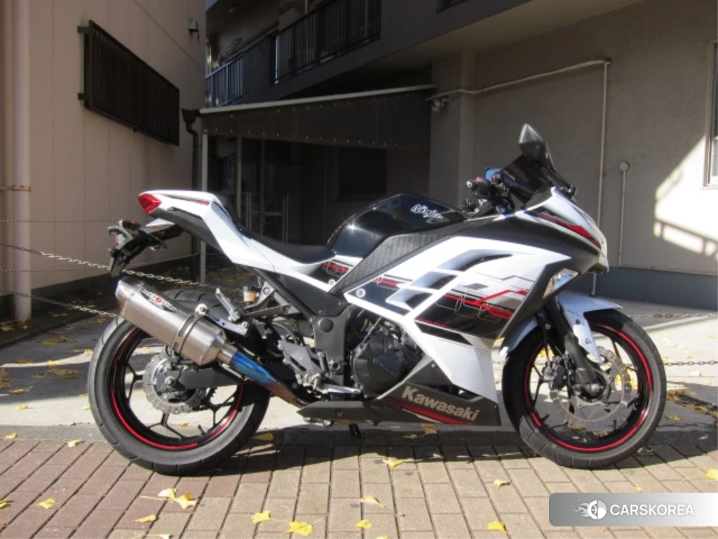 Проданный OTHER Ninja 250 ABS SE 2014 из Японии, фото 2