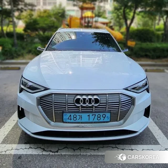 Audi e-Tron 2021 Белый из Кореи