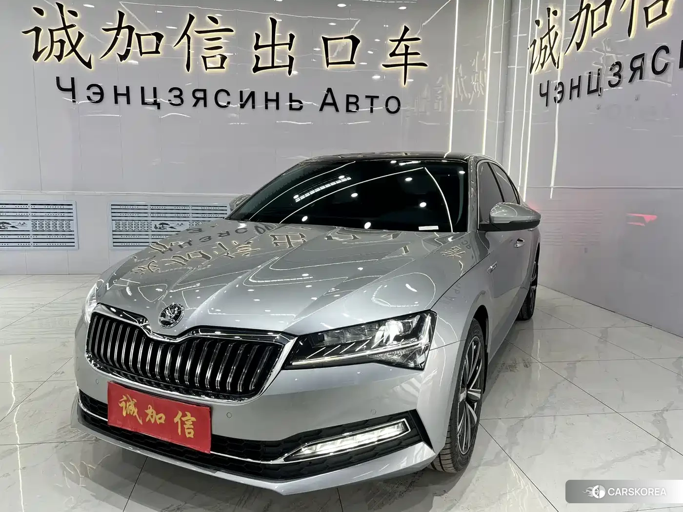 Skoda Speed pie 2023 Silver/gray из Китая