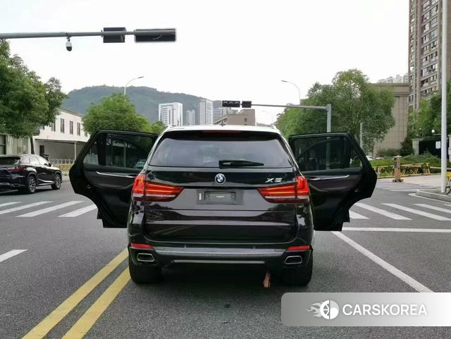 BMW X5 (imported) 2018 Коричневый из Китая