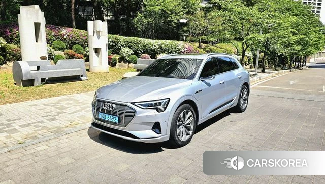 Audi e-Tron 2020 Серебряный из Кореи