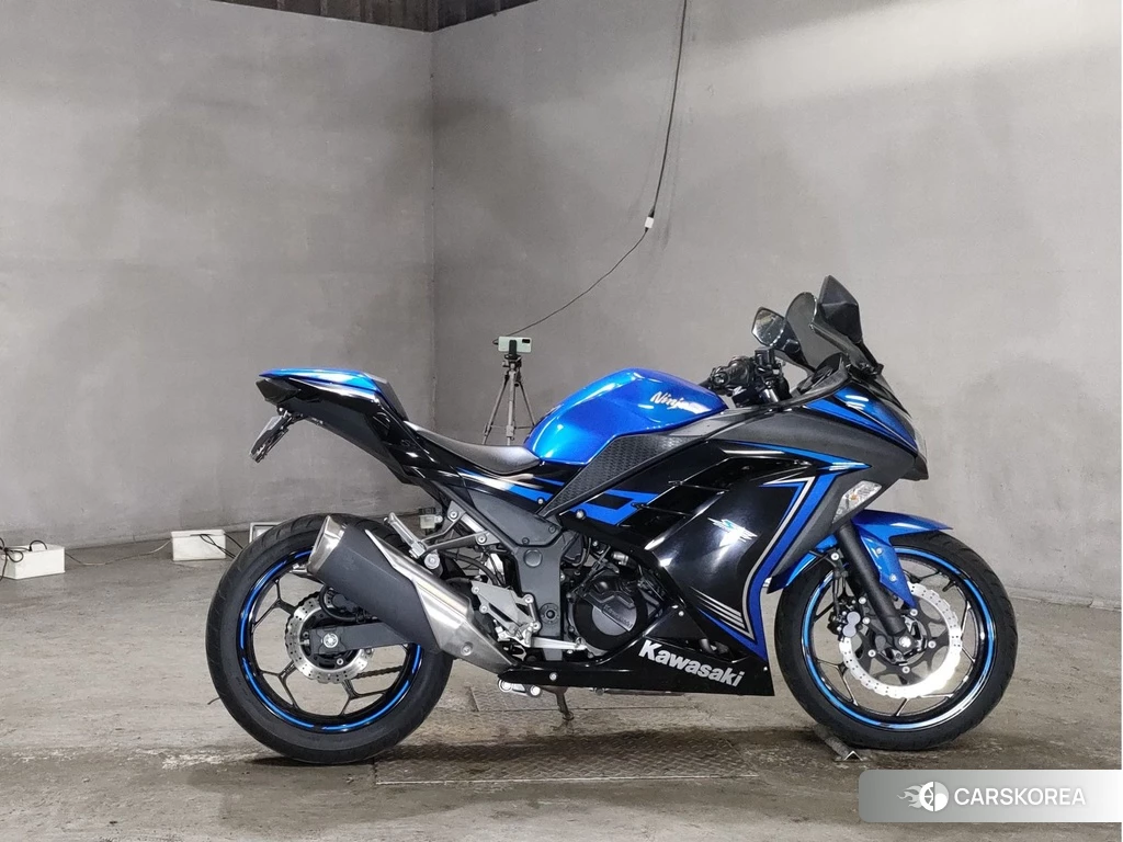 Проданный Kawasaki NINJA 250 2015 из Японии