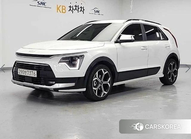 Kia Di Ol Nu Niro 2025 Белый из Кореи