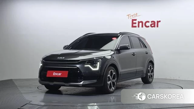 Kia Di Ol Nu Niro 2024 Серый из Кореи