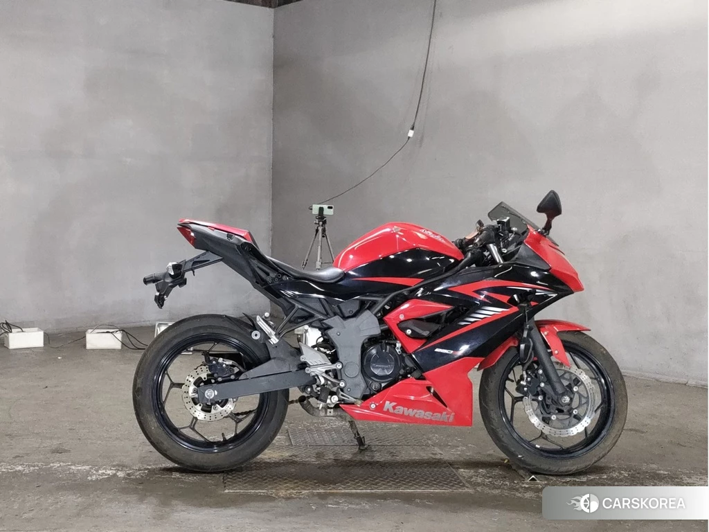 Проданный Kawasaki NINJA 250SL 2015 из Японии