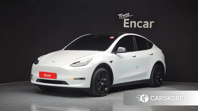 Tesla Model Y 2021 Белый из Кореи