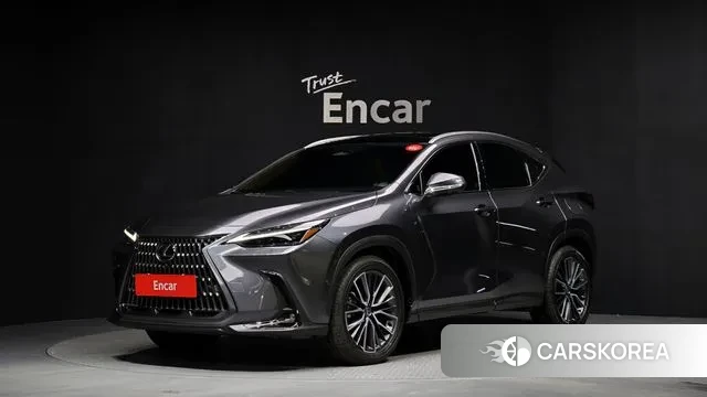 Lexus NX350h Second generation 2025 Серый из Кореи