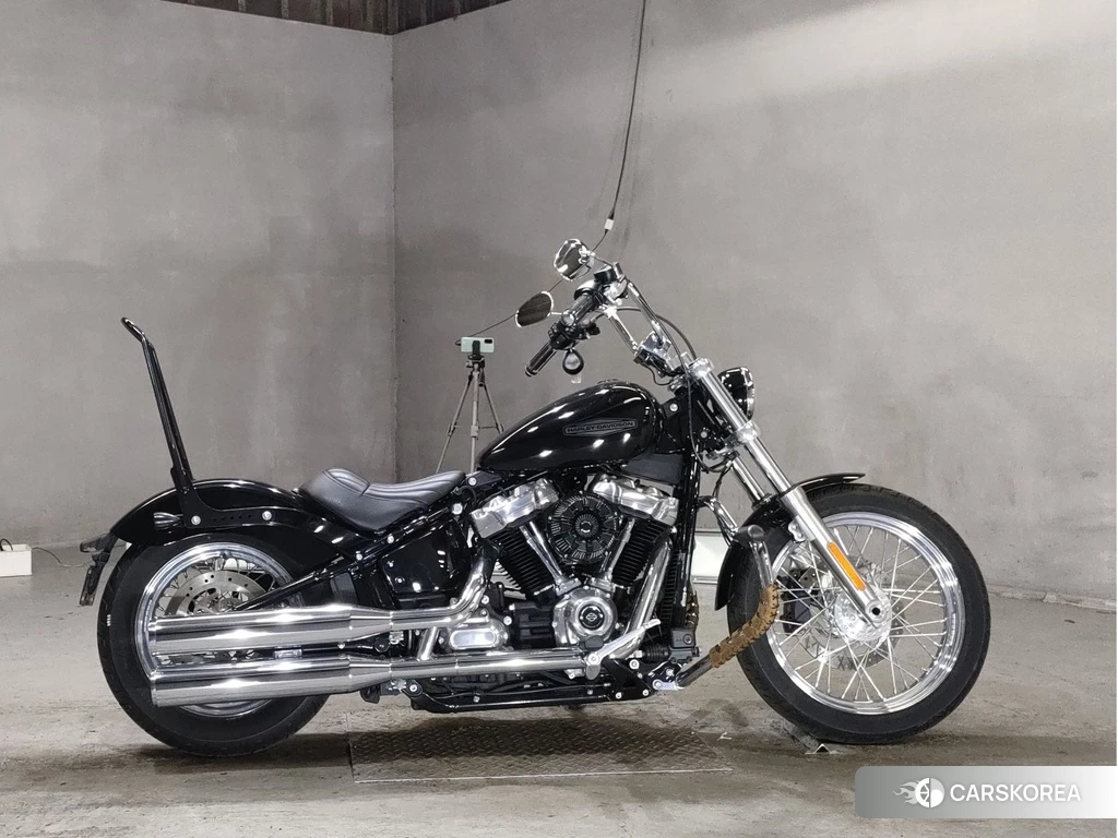 Проданный Harley-Davidson Softail Standart FXST1750 2020 из Японии