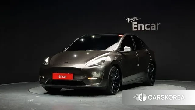Tesla Model Y 2022 Серый из Кореи