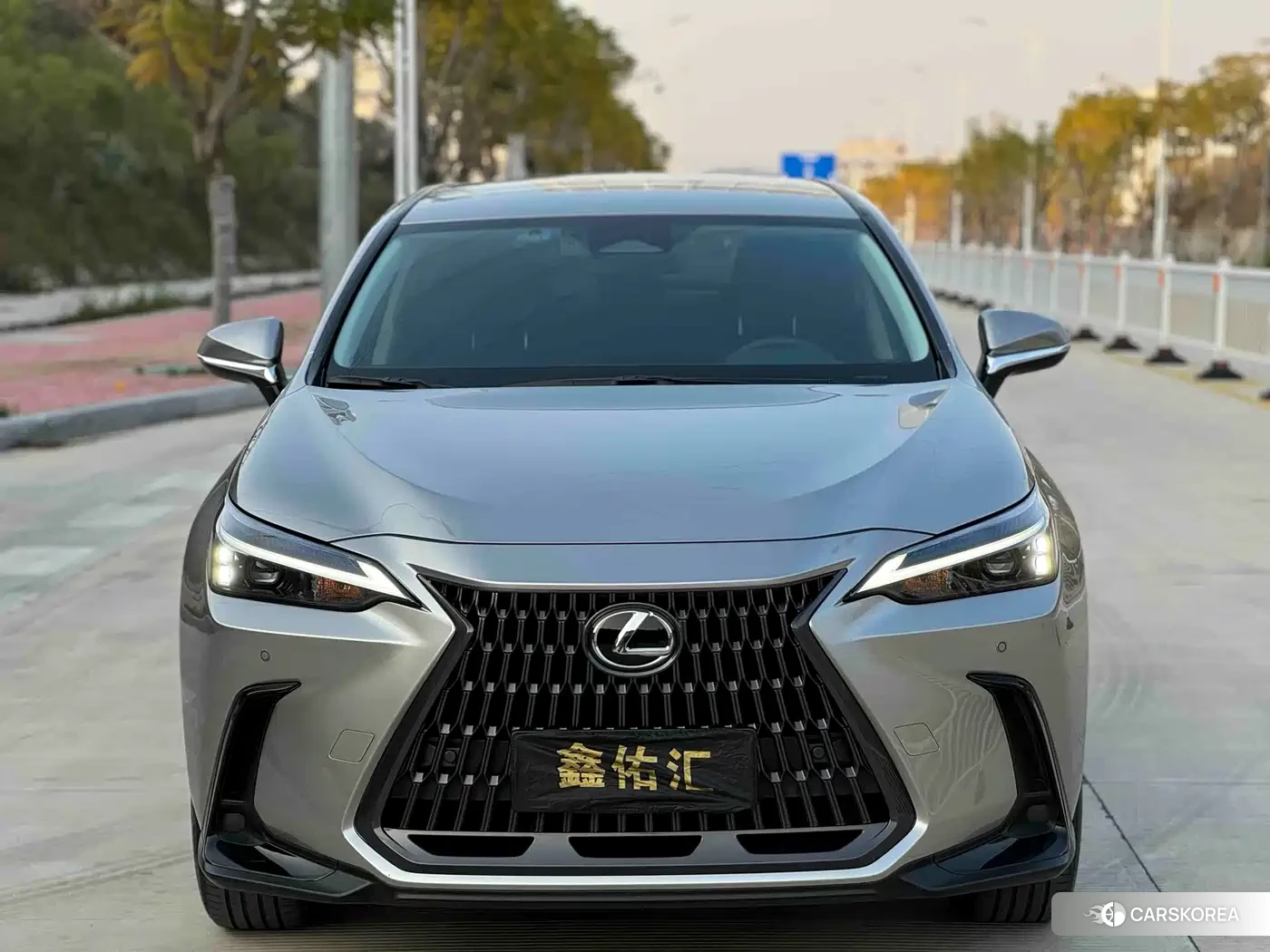 Lexus NX 2023 Silver/gray из Китая