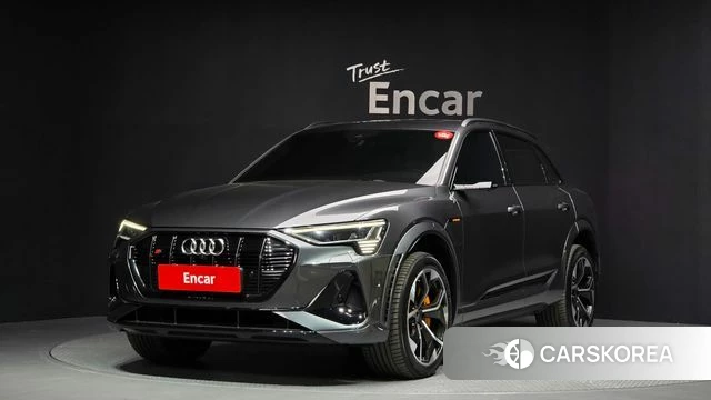 Audi e-Tron 2023 Серый из Кореи