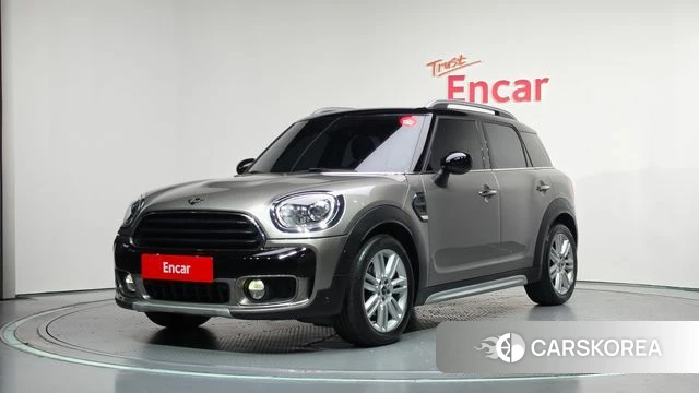 Mini Cooper Countryman 2019 Цвет тростника из Кореи