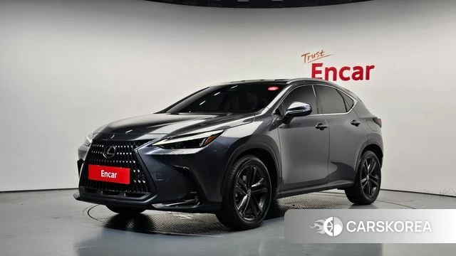 Lexus NX350h Second generation 2023 Серый из Кореи