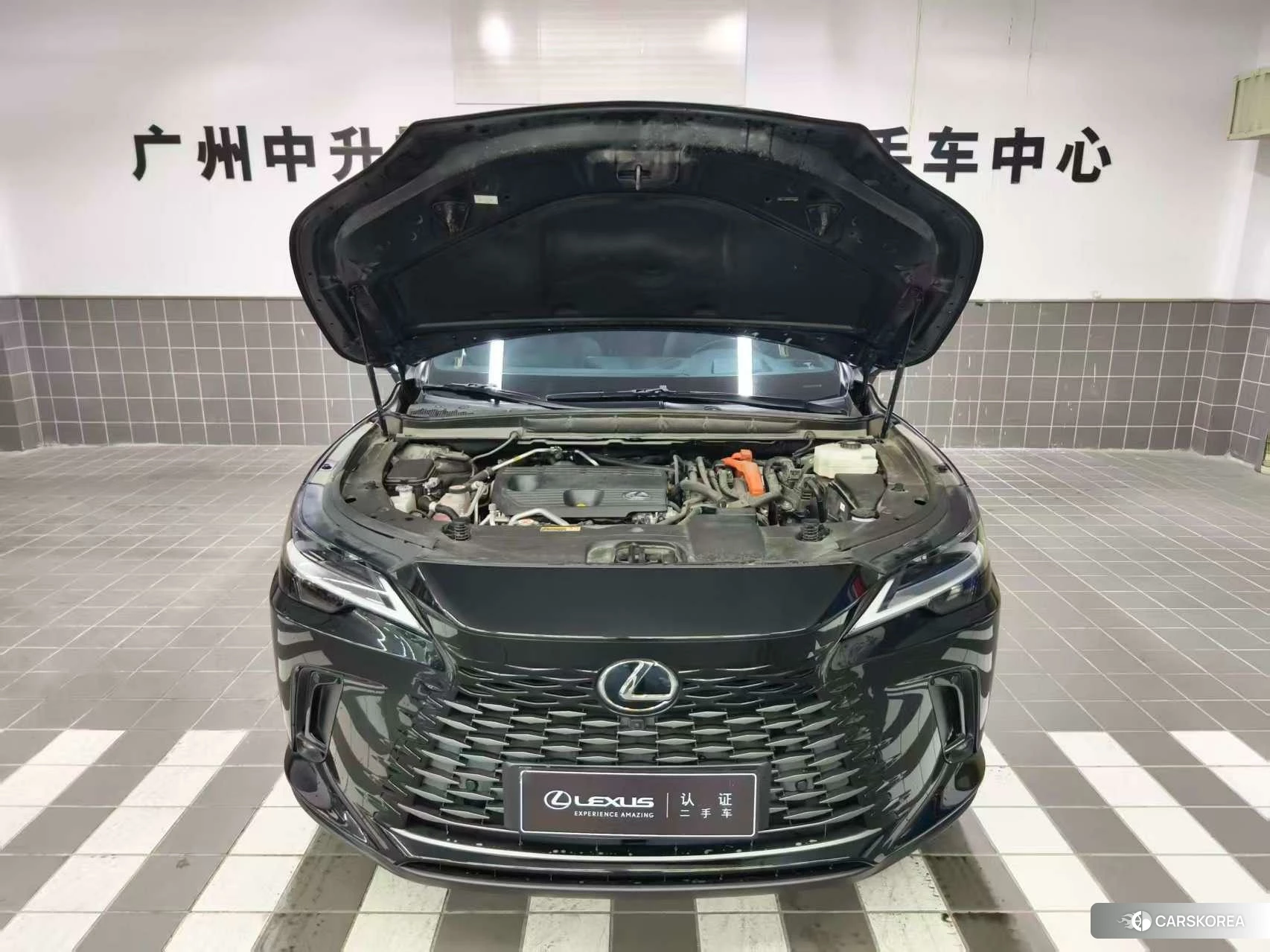 Lexus RX PHEV 2023 Черный из Китая