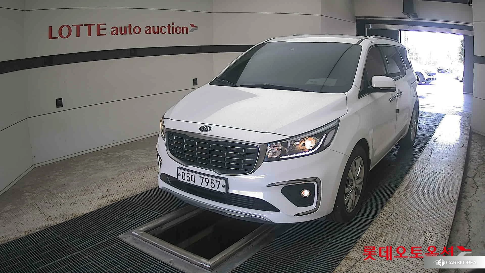 Kia Carnival 2019 Белый из Кореи