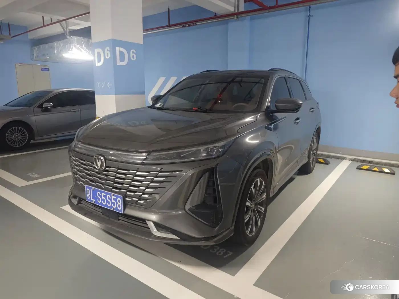Chang'an CS75PLUS 2023 Silver/gray из Китая