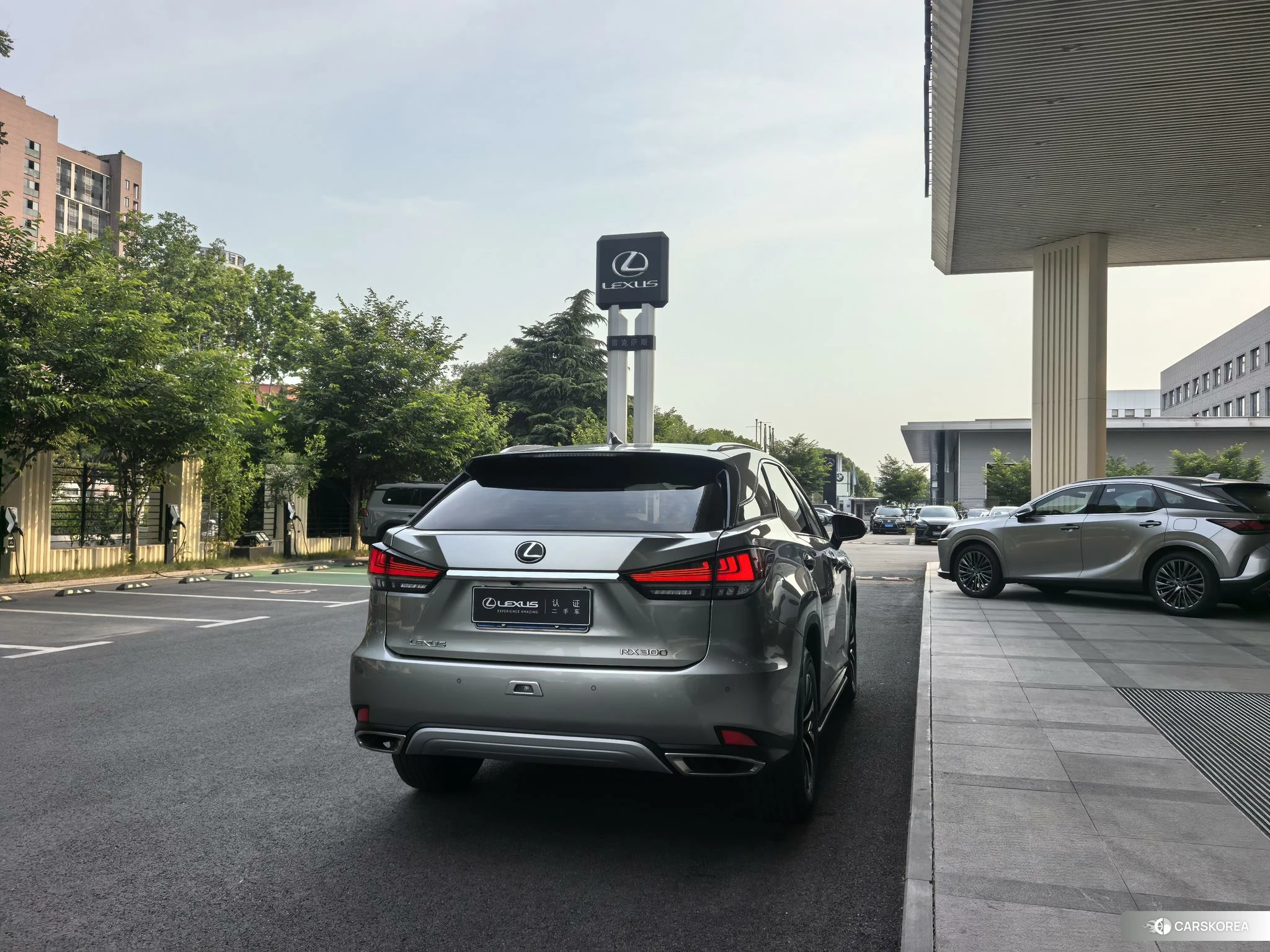 Lexus RX 2020 Серебристо-серый из Китая