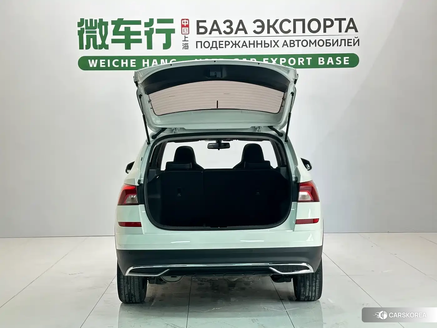 Skoda Kamiq 2022 Белый из Китая