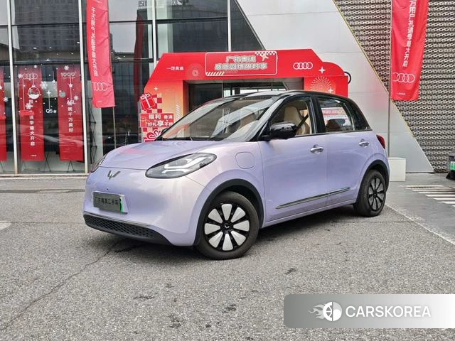 Wuling Automobile Wuling Bingguo 2025 Другой из Китая