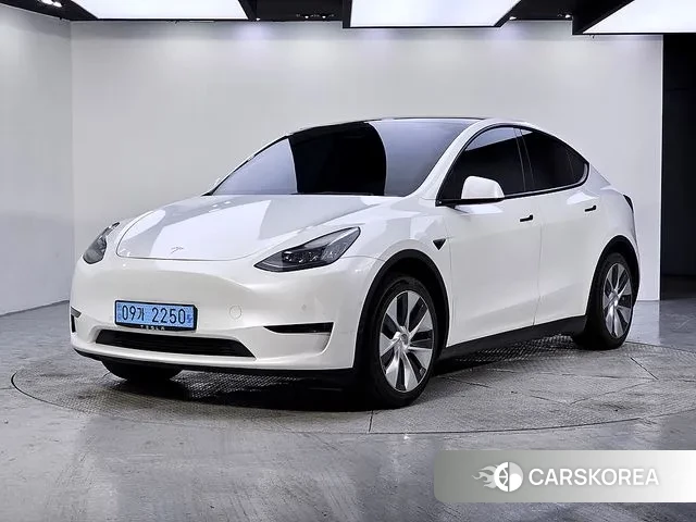 Tesla Model Y 2021 Белый из Кореи