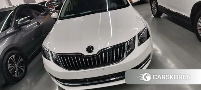 Skoda Octavia 2020 Белый из Китая