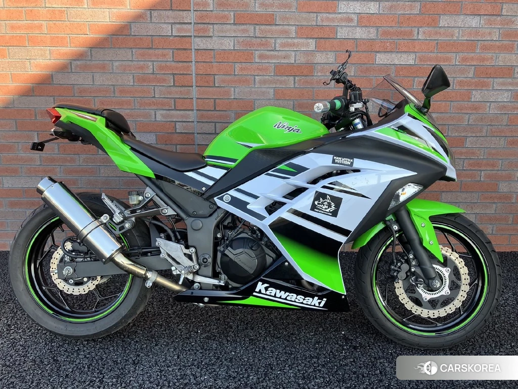Проданный OTHER Ninja 250 ABS SE 2015 из Японии, фото 2