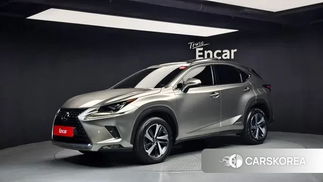 Lexus NX300h 2018 Серый из Кореи
