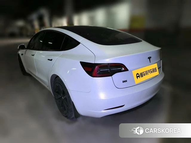 Tesla Model 3 2021 Белый из Китая