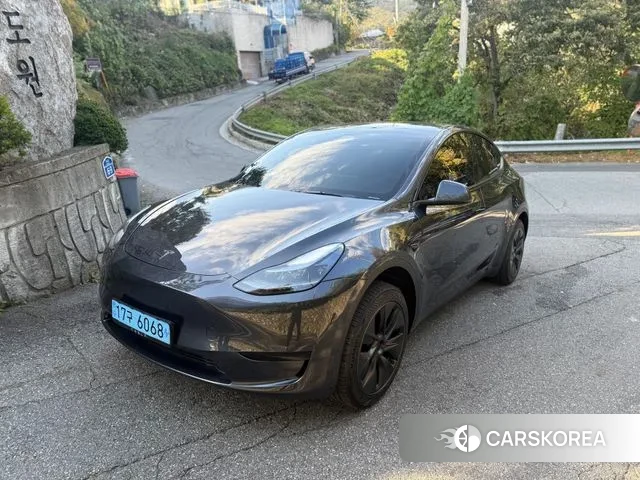 Tesla Model Y 2024 Серый из Кореи