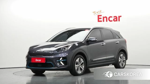Kia Niro EV 2019 Серый из Кореи